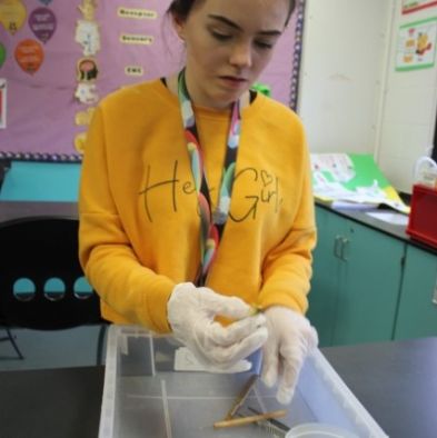 tsa_sixthScience (5)